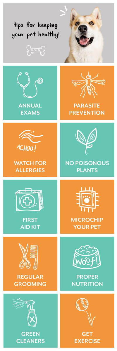 Tips For Keeping Your Pet Healthy Infographic